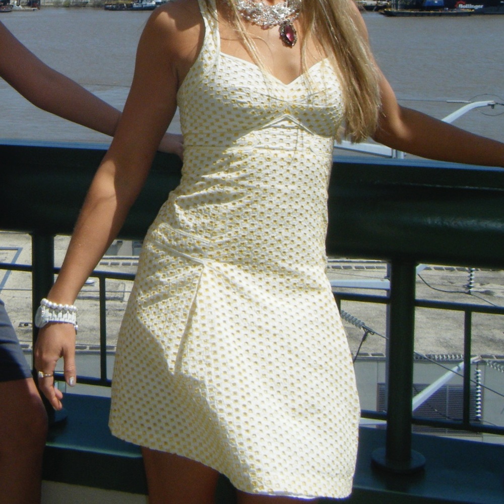 Cynthia Steffe Sunflower Sun Dress Summer